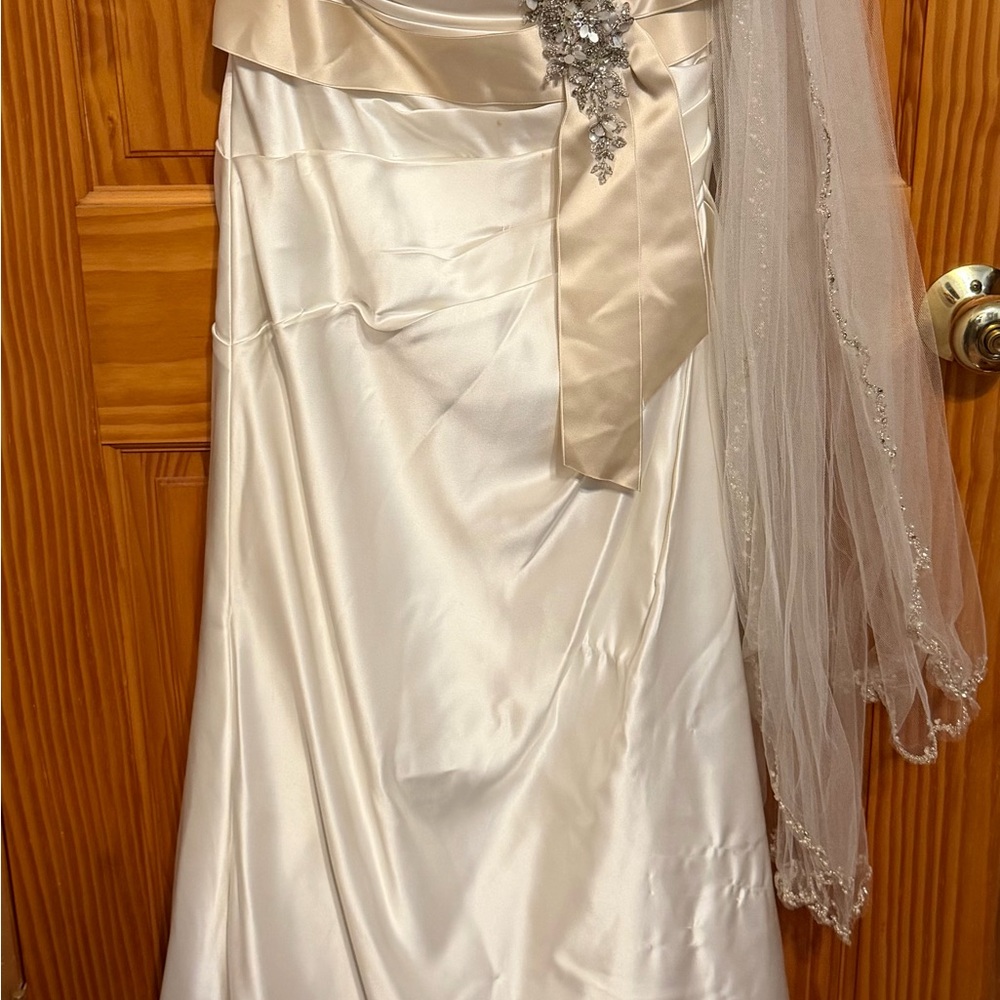 David's Bridal Ivory & Champagne Satin Dress Size 6 With Veil